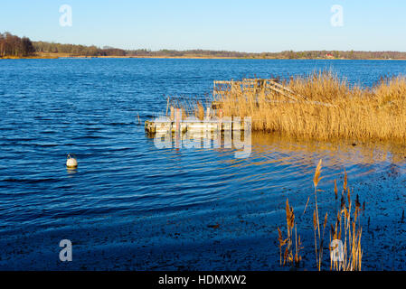 Des quais flottants à la maison entourée de reed le beau jour d'hiver dans le sud de l'archipel suédois. Banque D'Images