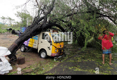 (161213) -- Chennai, Inde, 13 décembre 2016 (Xinhua) -- Un véhicule est heurté par un arbre a soufflé vers le bas par un vent fort lorsque le Cyclone Vardah approches dans Chennai, capitale de l'Etat indien du Tamil Nadu, le 12 décembre 2016. Au moins deux personnes ont été tuées et plus de milliers évacués lundi dans deux états du sud de l'Inde du Tamil Nadu et l'Andhra Pradesh, comme Vardah Cyclone fouetté leurs zones côtières, ont dit. (Xinhua/Stringer)(aa) Banque D'Images