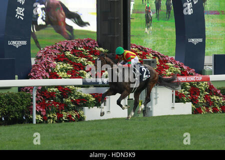 Hong Kong, Chine. Déc 11, 2016.Hong Kong, Chine. Dec 11, 2016. Maurice monté par Ryan Moore gagne la Longines Hong Kong Cup (groupe 1) à Sha Tin-Racecourse/Chine. Credit : Lajos-Eric turfstock.com Balogh/© dpa/Alamy Live News © AFP PHOTO alliance/Alamy Live News Banque D'Images