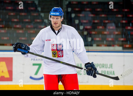 Prague, République tchèque. 13 Décembre, 2016. Le joueur de hockey de l'équipe nationale tchèque Ondrej Vitasek en action au cours de la session de formation avant le canal un tournoi de Coupe du monde à Moscou et Helsinki à Prague, République tchèque, le 13 décembre 2016. Le tournoi sera joué sur 15 au 18 décembre. Les Tchèques joueront la Finlande à Helsinki le jeudi 15 décembre. Par la suite, ils vont se déplacer à Moscou et la Russie jouer le vendredi. Le samedi, ils vont jouer en Suède. © Vit Simanek/CTK Photo/Alamy Live News Banque D'Images