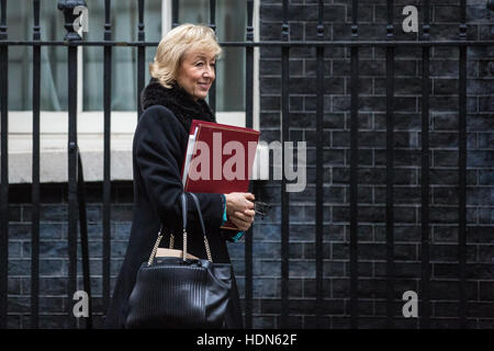 Londres, Royaume-Uni. 13 Décembre, 2016. Andrea Leadsom, Secrétaire d'État à l'environnement, de l'Alimentation et des Affaires rurales, feuilles 10, Downing Street, à la suite d'une réunion du Cabinet. Credit : Mark Kerrison/Alamy Live News Banque D'Images