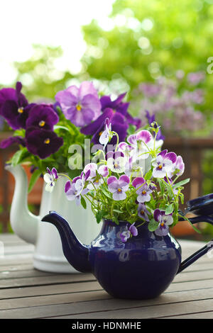 Bouquets de fleurs violet pansy en bleu et blanc à l'émail sur un balcon table, de copie ou de l'espace texte, arrière-plan nostalgique Banque D'Images