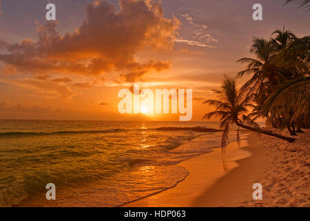 Coucher du soleil à Dover Beach, St Lawrence Gap, Côte Sud, Barbade, Caraïbes. Banque D'Images