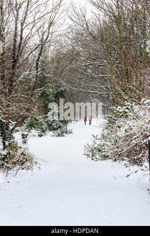 La neige dans un parc à pied, une réserve naturelle faite à partir d'une ligne de chemin de fer désaffectée, au nord de Londres, UK Banque D'Images