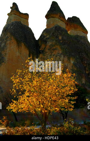 Les feuilles d'automne rétroéclairé et cheminées de fées en silhouette en Cappadoce, Turquie Banque D'Images