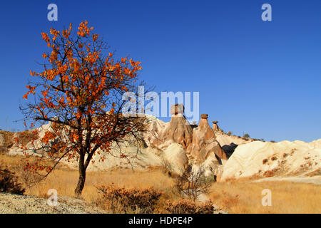 Automne en Cappadoce Banque D'Images