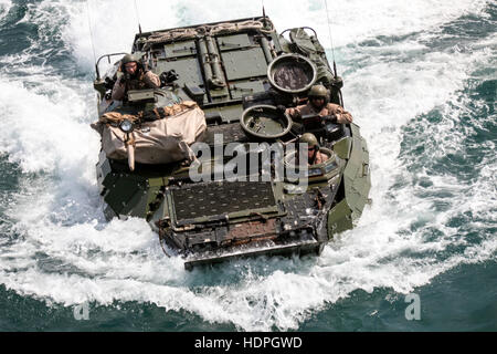 Des soldats de la Marine américaine à bord d'exercices mer véhicules d'assaut amphibie au cours d'une unité de formation Composite 19 Juillet 2015 Exercice au large des côtes de la Floride. Banque D'Images