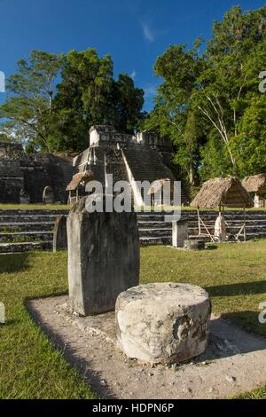 Stela et autel dans la grande place en face de l'Acropole Nord. Parc national de Tikal, Guatemala, est un site archéologique de l'époque pré-Colombienne peut Banque D'Images