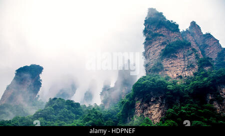 Misty Mountain peaks raides - parc national de Zhangjiajie, Chine Banque D'Images