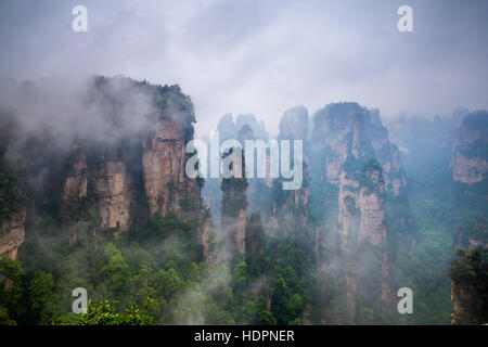 Misty Mountain peaks raides - parc national de Zhangjiajie, Chine Banque D'Images