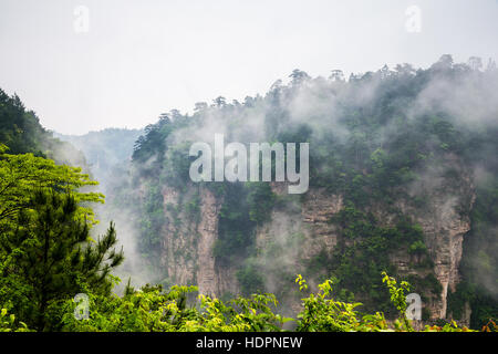 Misty Mountain peaks raides - parc national de Zhangjiajie, Chine Banque D'Images