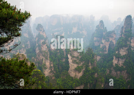 Misty Mountain peaks raides - parc national de Zhangjiajie, Chine Banque D'Images