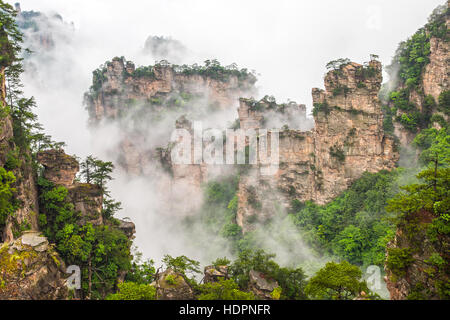 Misty Mountain peaks raides - parc national de Zhangjiajie, Chine Banque D'Images