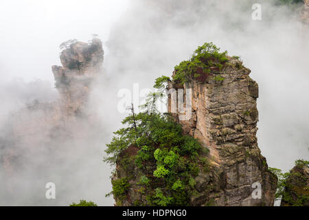 Misty Mountain peaks raides - parc national de Zhangjiajie, Chine Banque D'Images