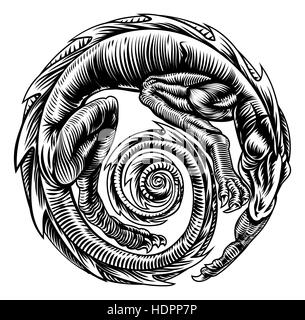 Un dragon en forme circulaire, illustration originale dans un bois coupé style retro vinatge Banque D'Images