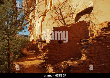 Honanki anciennes ruines Indiennes cliff dwellers avec les ombres des arbres fournissant de l'ombre pour ces logements Banque D'Images