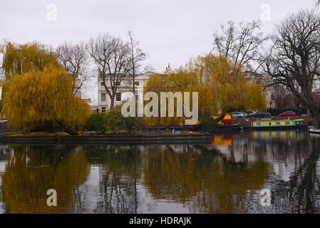 Arbres à feuilles jaunes dans Regents Canal Maida Vale London, Royaume-Uni Banque D'Images