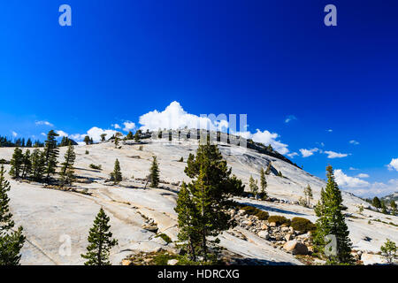 Tioga Pass est un col de montagne dans les montagnes de la Sierra Nevada. La State Route 120 traverse, et sert de point d'entrée pour l'est de Yosemite Nati Banque D'Images