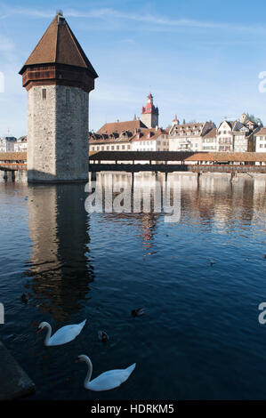 Lucerne, Suisse, Skyline : vue sur la célèbre Tour de l'eau et le pont de la chapelle, la passerelle couverte en bois construit en 1333 sur la rivière Reuss Banque D'Images