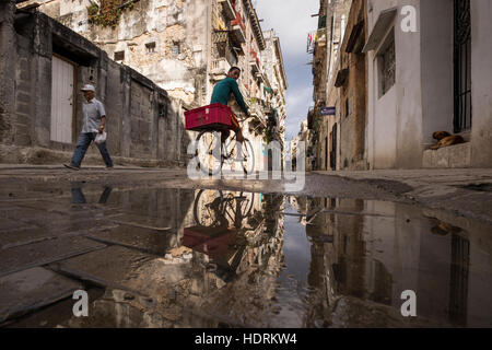 Cycliste reflète dans flaque sur Compostelle street, La Havane, Cuba. Banque D'Images