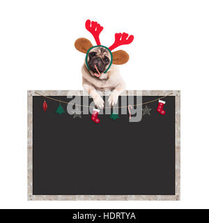 Cute puppy pug dog eating Candy Cane et pendaison avec pattes sur blackboard blank sign avec décoration de Noël, sur fond blanc Banque D'Images