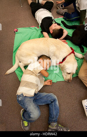 Les jeunes étudiants multiracial dans ses bras un chien de thérapie sur le sol d'une école élémentaire en classe Mission Viejo, CA. Banque D'Images