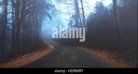 Route asphaltée à vide Moody Forêt brumeuse Banque D'Images