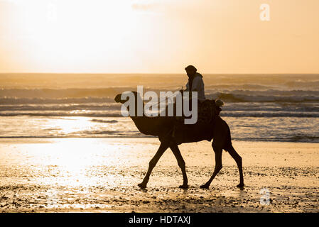 Silhouette de deux bédouins sur la plage au coucher du soleil au Maroc Banque D'Images