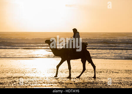 Silhouette de deux bédouins sur la plage au coucher du soleil au Maroc Banque D'Images