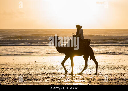 Silhouette de deux bédouins sur la plage au coucher du soleil au Maroc Banque D'Images