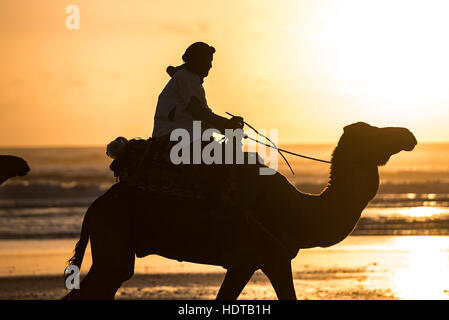 Silhouette de deux bédouins sur la plage au coucher du soleil au Maroc Banque D'Images