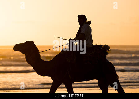 Silhouette de deux bédouins sur la plage au coucher du soleil au Maroc Banque D'Images