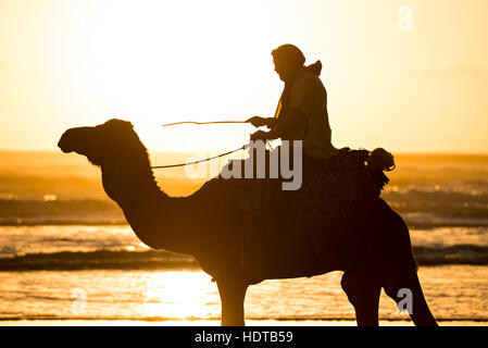 Silhouette de deux bédouins sur la plage au coucher du soleil au Maroc Banque D'Images