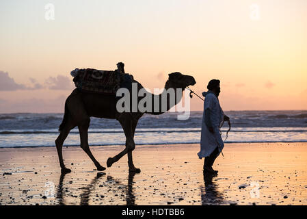 Silhouette de deux bédouins sur la plage au coucher du soleil au Maroc Banque D'Images