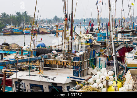 NEGOMBO, SRI LANKA - 30 novembre : des pêcheurs locaux et leurs bateaux dans la lagune près de la poissonnerie de Negombo, près de Colombo, Sri Lanka sur le 30 No Banque D'Images