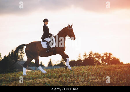 Femme équitation cheval brun portant un casque dans le champ Banque D'Images