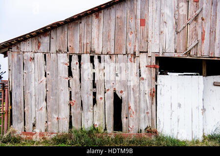 Libre d'une vieille grange en bois en train de s'effondrer sur une ferme dans la campagne en dehors de Washington, New York, USA. Banque D'Images