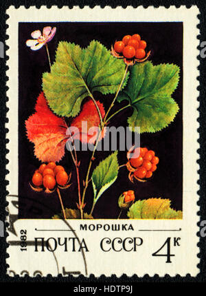 Un timbre-poste imprimé en URSS montre un mûrier Rubus chamaemorus, 1982 Banque D'Images