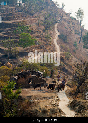 Village de Tulla Kote et la 'selle' un endroit souvent décrit par Jim Corbett dans son livre sur la tigresse Tallas des maneater, Uttarakhand, Inde Banque D'Images