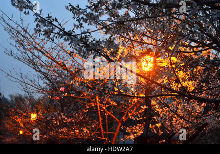 La lumière ! Banque D'Images
