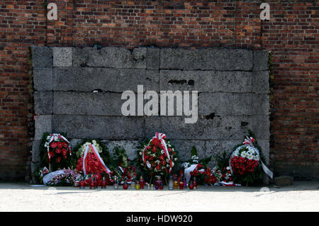 Couronnes déposées au mur il mort à Auschwitz Birkenau, Oswiecim, Pologne. La SS tourné plusieurs milliers de personnes à ce mur de la mort dans une cour entre blo Banque D'Images