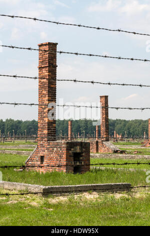 Les vestiges des cheminées qui faisaient partie de la prison derrière de hauts bâtiments barb wire clôtures à Auschwitz-Birkenau 11 à Oswiecim, Pologne, Banque D'Images