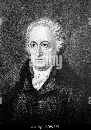 Johann Wolfgang von Goethe 57 ans, 1749-1832, un écrivain et homme d'État, gravure sur bois de l'année 1880 Banque D'Images