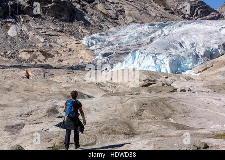 Glacier Nigardsbreen tourisme randonnées dans le glacier, glacier Jostedalsbreen. Gaupne, lustre, Sogn og Fjord Norway Banque D'Images