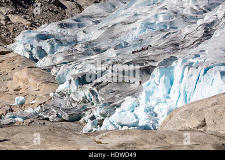 Glacier Nigardsbreen tourisme randonnées dans le glacier, glacier Jostedalsbreen. Gaupne, lustre, Sogn og Fjord Norway Banque D'Images