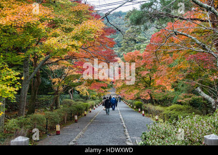 Bénéficiant d couleurs d'automne au temple Tenryu-ji, Kyoto, Japon Banque D'Images