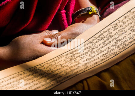 Un moine est en train de lire un livre de prières à l'intérieur du monastère thupten chholing gompa, détail du livre de prières et ses mains Banque D'Images