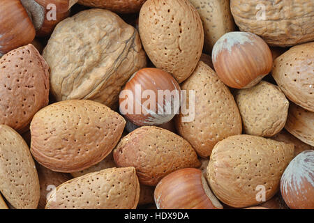 Mélange de noix : les noix, amandes et noisettes Banque D'Images