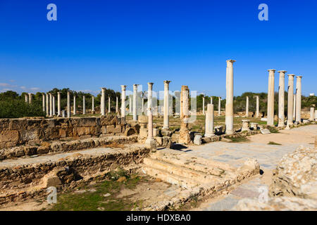 Ruines romaines à Salamine, Famagusta, Chypre turque au nord. Banque D'Images