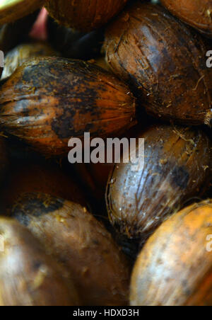 Noix de bétel (Areca Nut) en vente sur un marché en Assam, Inde. Banque D'Images